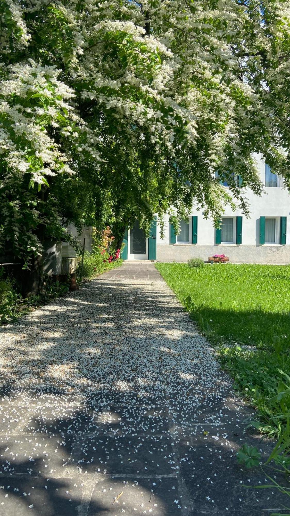Apartamento Magnolia 41 Possagno Exterior foto