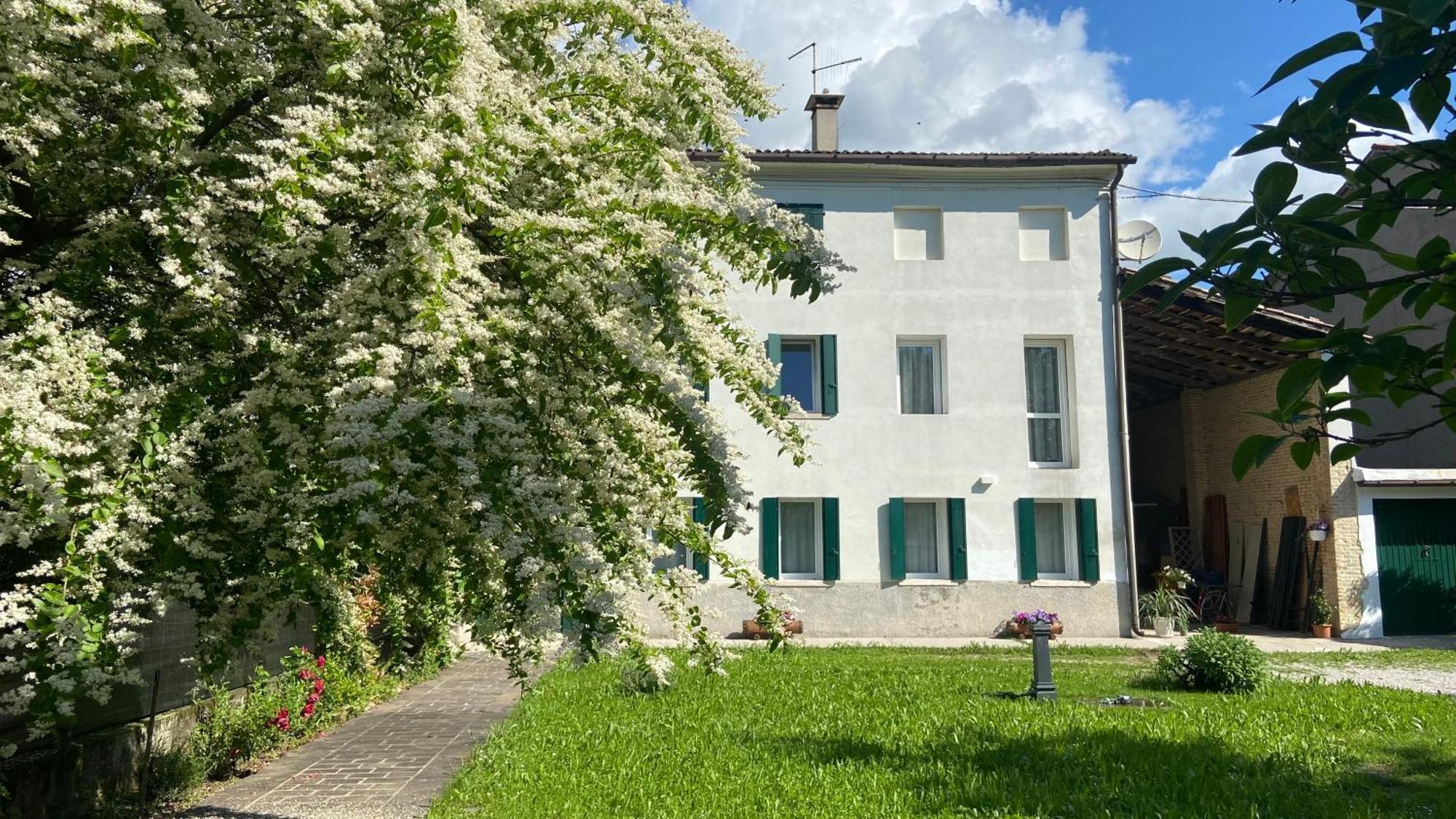 Apartamento Magnolia 41 Possagno Exterior foto